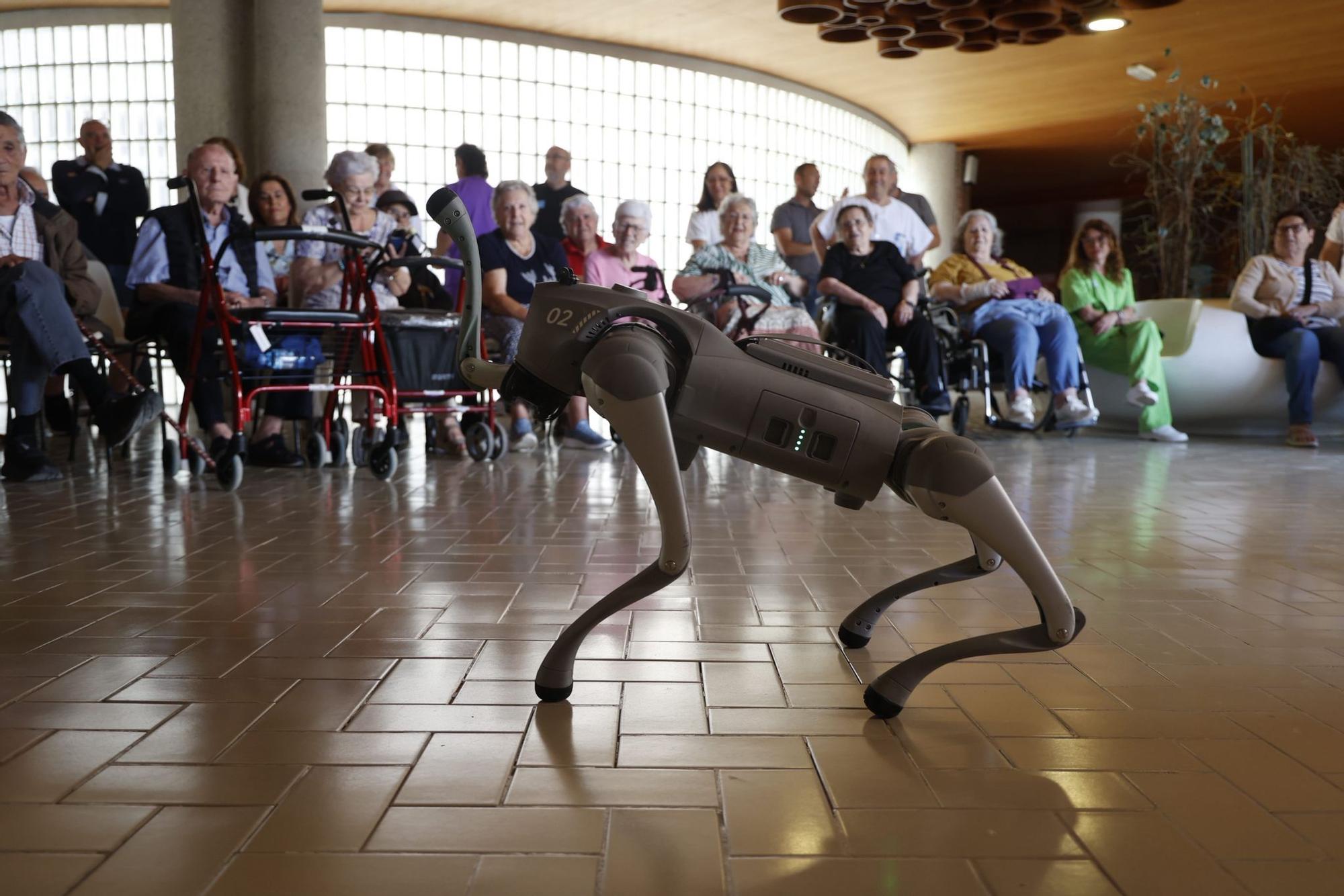 Un humanoide y un perro robot en el Hogar Provincial de Alicante
