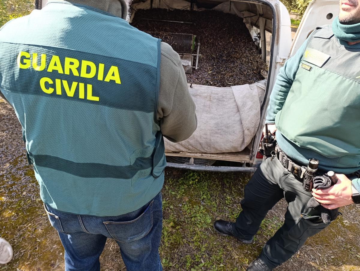 Agentes de la Guardia Civil con un vehículo intervenido repleto de aceituna hurtada.