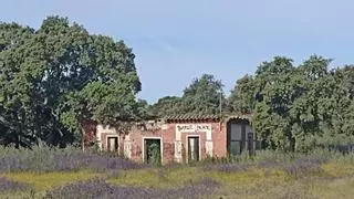 La 'última' gran finca sin construir de La Moraleja se vende por 6 millones, pero tiene un problema: una casa protegida dentro