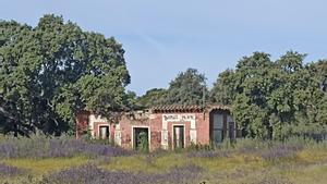 Imagen de la finca donde está la Casa del Guarda del Real Bosque de La Moraleja, que está ahora a la venta.
