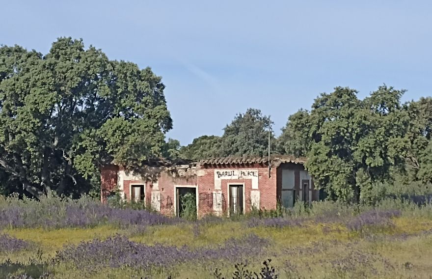 Imagen de la finca donde está la Casa del Guarda del Real Bosque de La Moraleja, que está ahora a la venta.