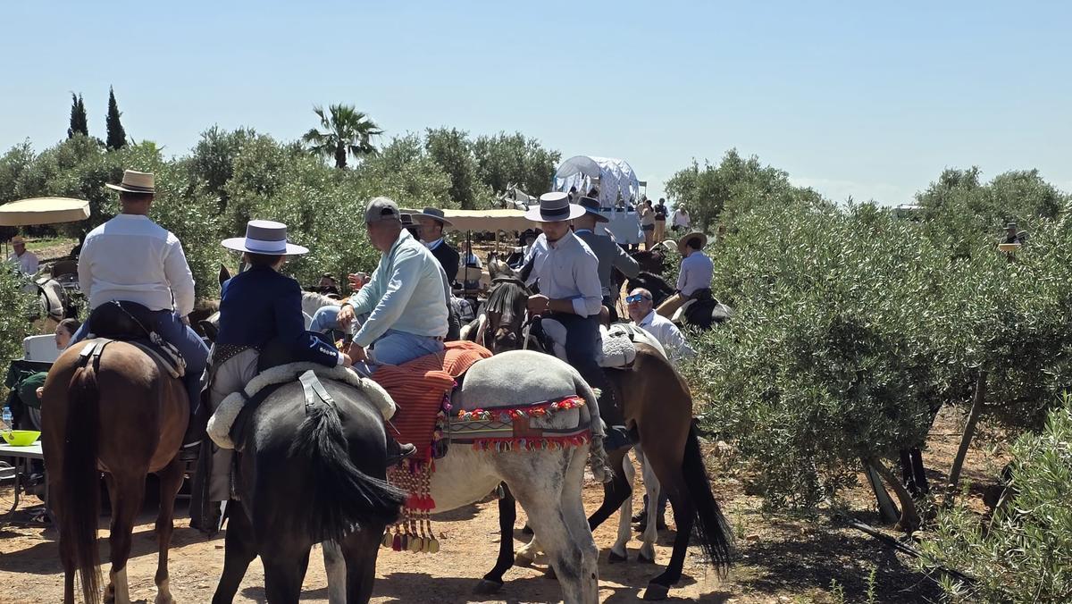 Caballistas en Montoro durante la romería.