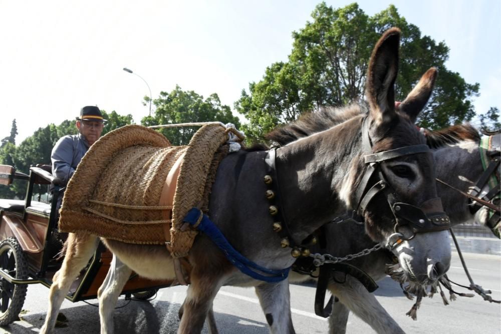 Ruta en carro al corazón de la Huerta