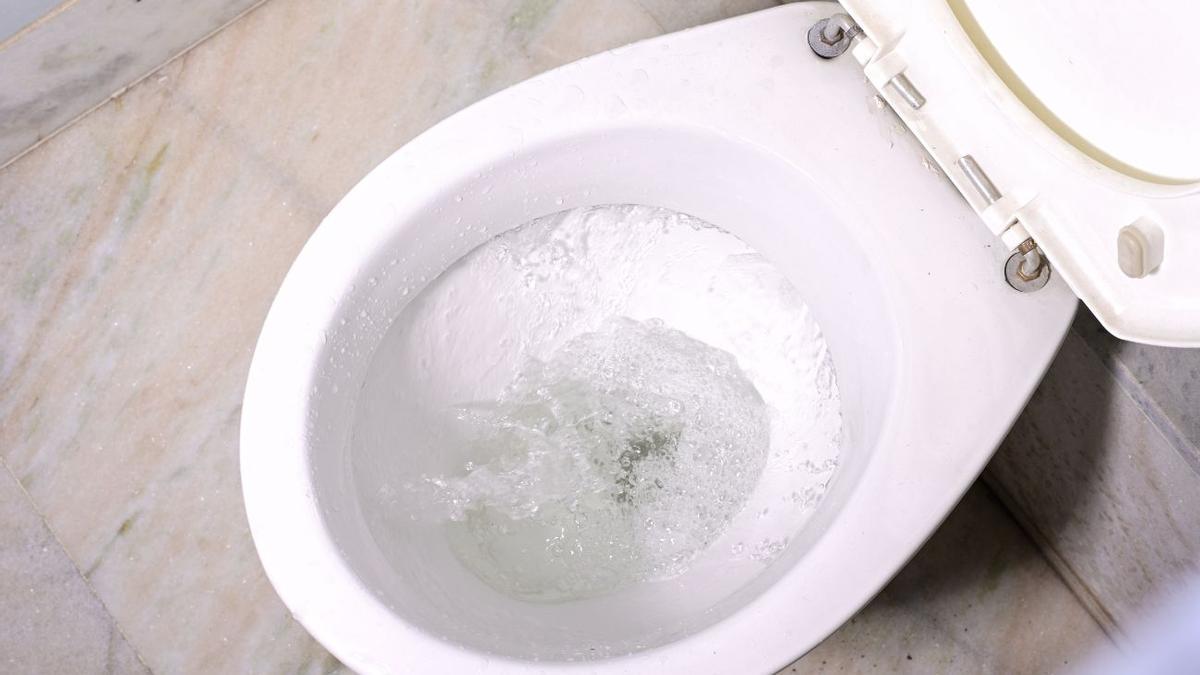 LIMPIAR SARRO WC MERCADONA | Cómo limpiar el sarro del WC: 5 métodos caseros que te sorprenderán