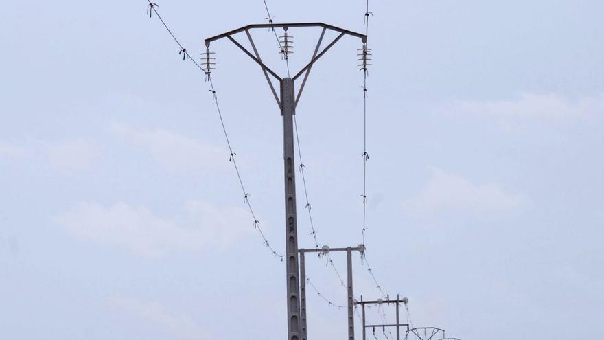 La Fiscalía refuerza la vía penal para perseguir la muerte de aves en tendidos eléctricos