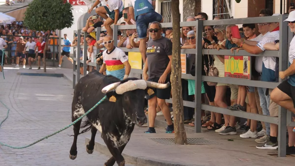 Carcabuey vibra con el toro de cuerda