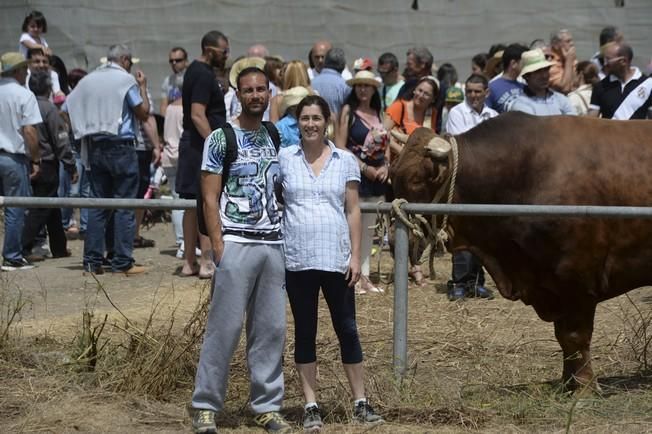 FERIA GANADO ARUCAS