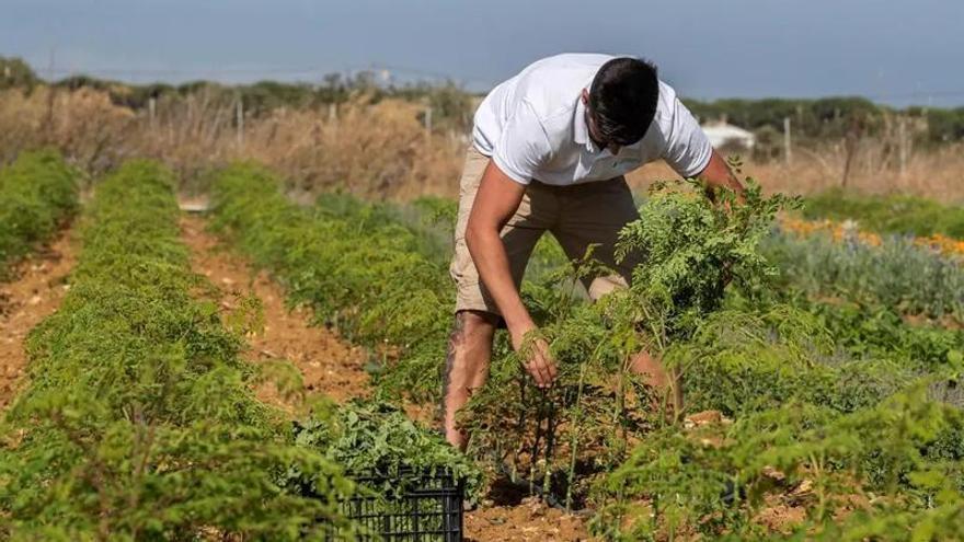 El campo murciano busca jóvenes: claves de las nuevas ayudas y cómo acceder