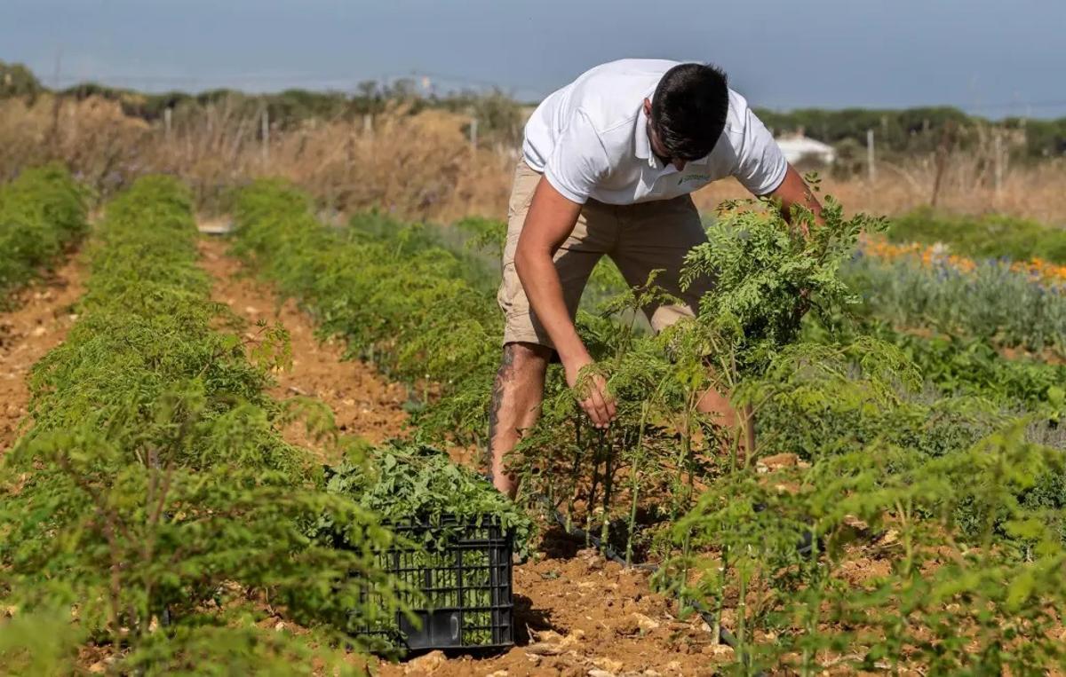 Un joven agricultor trabajando su tierra.