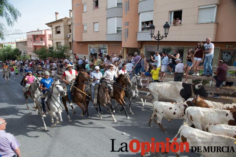 Séptimo encierro en Moratalla