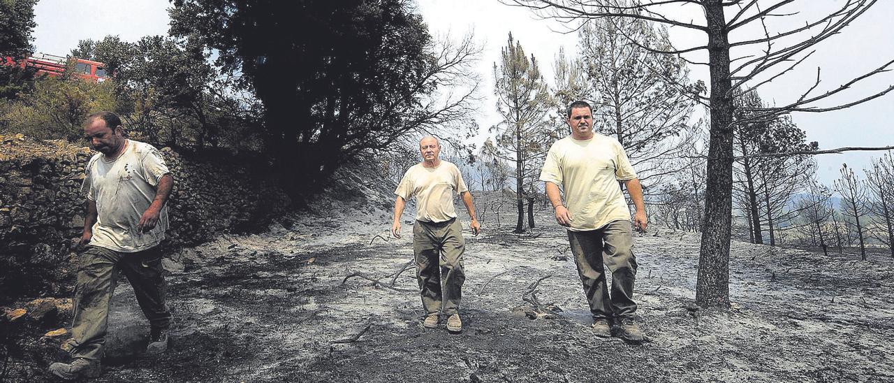 El fuego de julio de 2012 arrasó 10.000 hectáreas en el Alto Palancia.