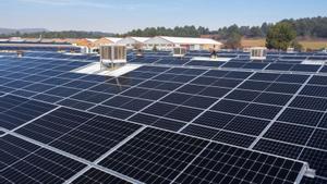 El Govern negocia amb Red Eléctrica  i el ministeri nous punts de connexió