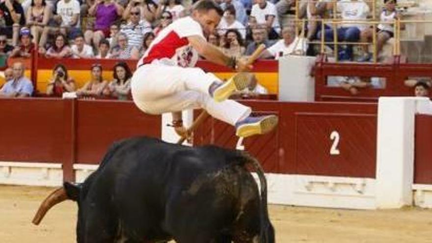 Alicante acoge a los mejores recortadores