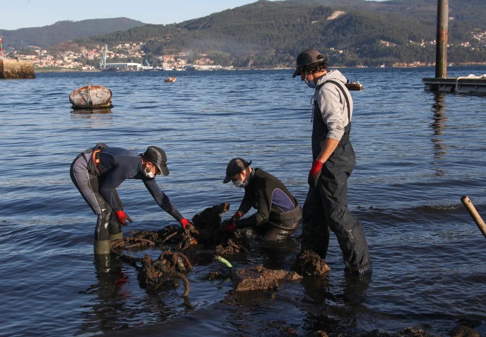 Los mariscadores de la Cofradía de Vigo limpiando la playa de Ríos de la ETEA. // R. Grobas