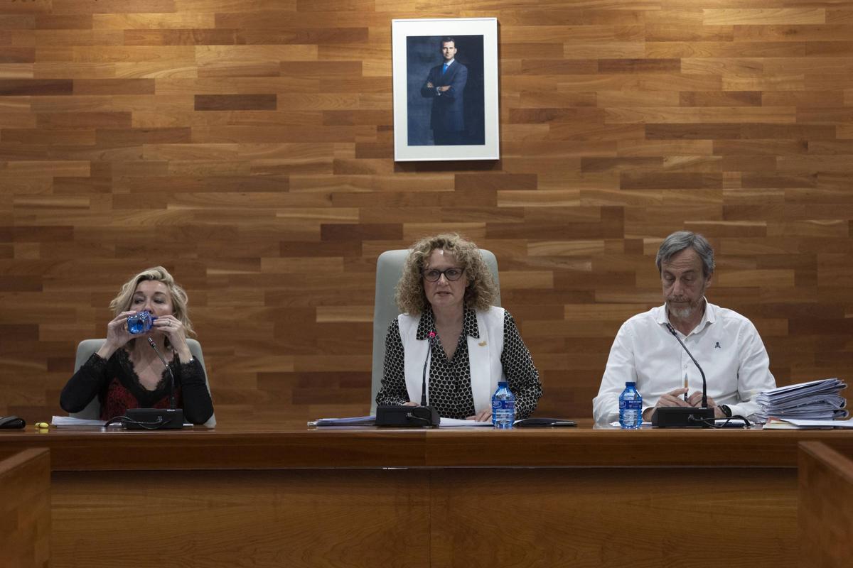 La alcaldesa Folgado, en el pleno del lunes