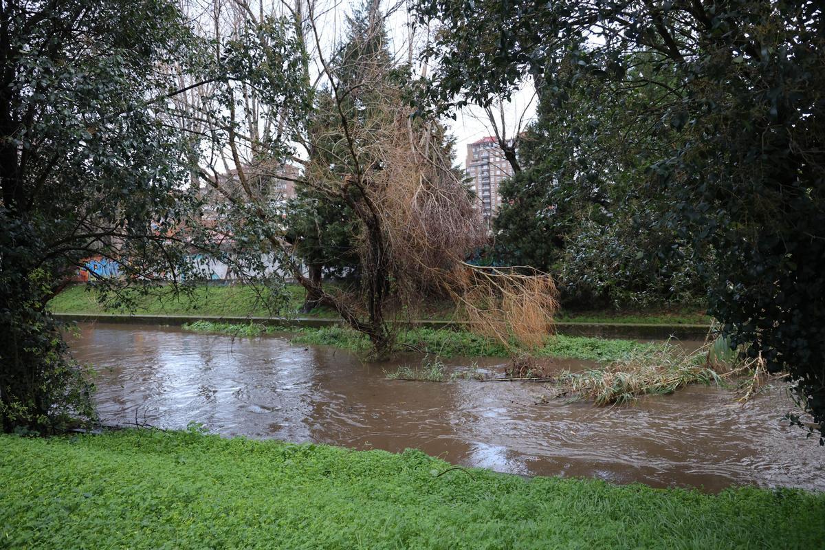 Vista del río Lagares a punto de desbordar a su paso por la avenida de Citroën.