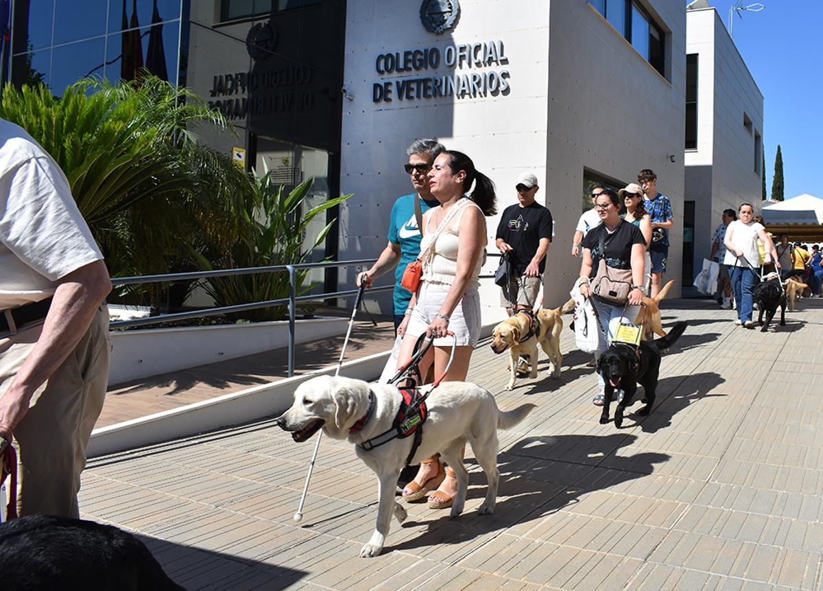 Propietarios de perros guía en el encuentro con veterinarios de Córdoba.