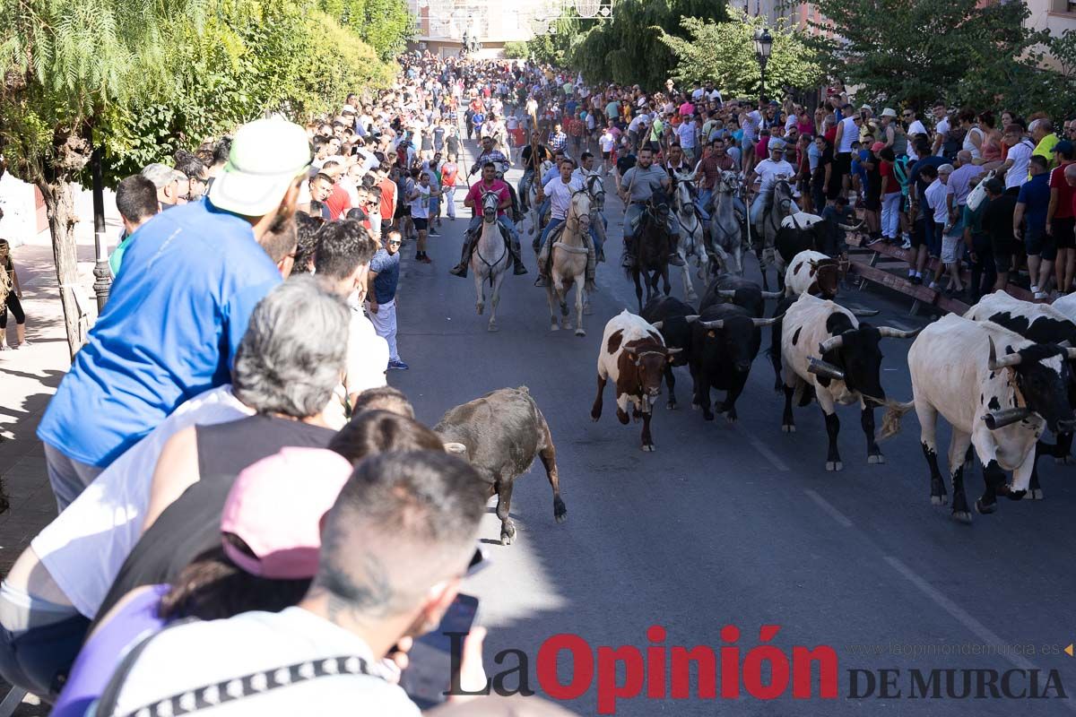 Último encierro en las Fiestas de Moratalla