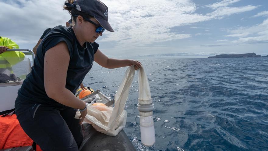 La investigadora asturiana que monitoriza desde Madeira la basura marina y los riesgos invisibles del plástico en el mar: “Falta conciencia”