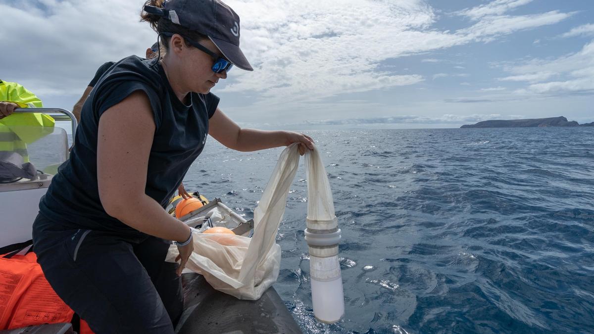 La investigadora asturiana que monitoriza desde Madeira la basura marina y los riesgos invisibles del plástico en el mar: “Falta conciencia” La investigadora asturiana que monitoriza desde Madeira la basura marina y los riesgos invisibles del plástico en el mar: “Falta conciencia”