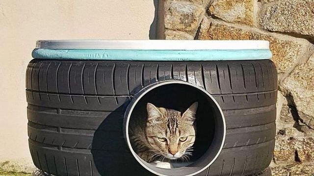 Casetas para gatos callejeros con neumáticos usados