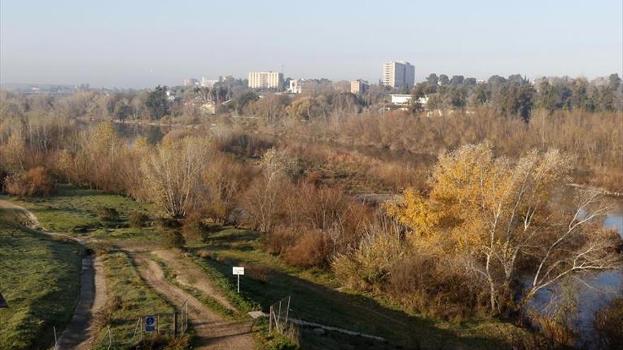 Perfilan los pasos a dar en el Cordel de Écija