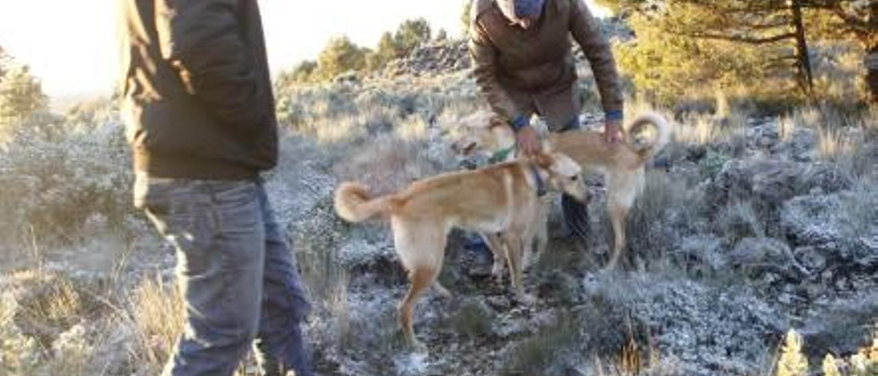 La ola de frío trae las primeras nieves del otoño a la provincia