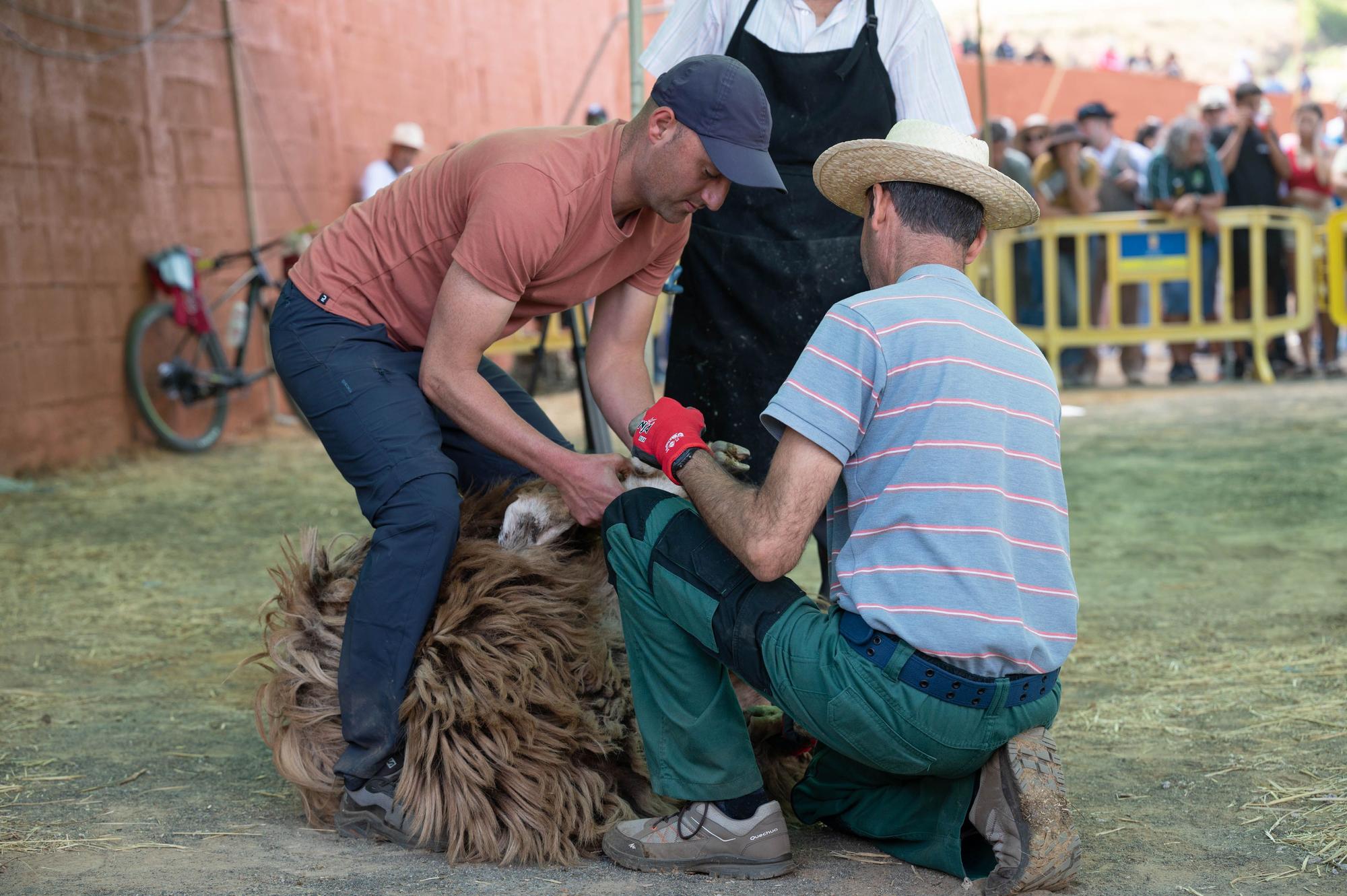 Fiesta de la Lana de Caideros