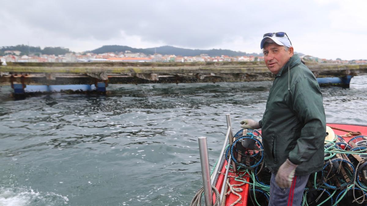 Las bateas de mejillón constituyen un espacio idóneo para la pesca de nécora.