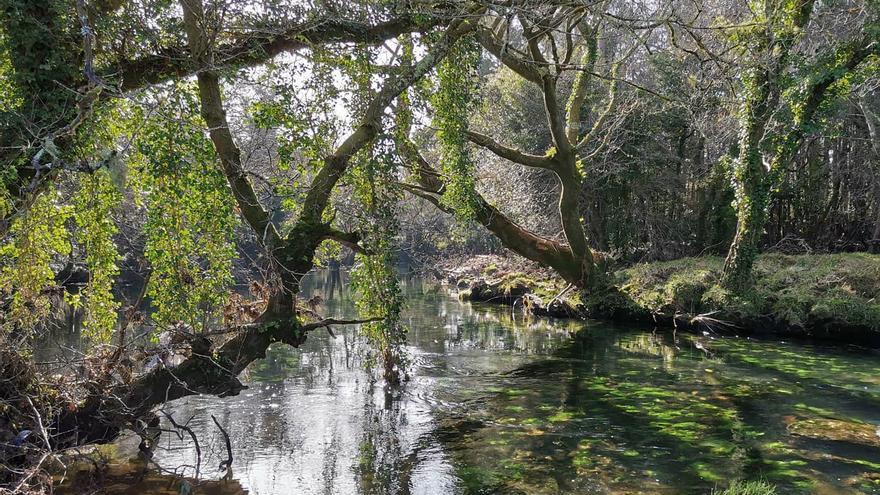 Detectan un vertido en el río Castro, en Cee, del que se abastece una piscifactoría