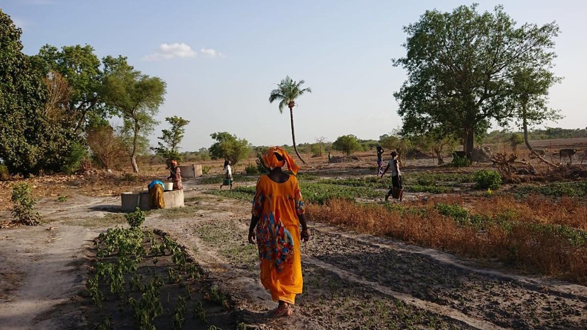 Cooperativa de mujeres agricultoras en Kolda (Senegal).