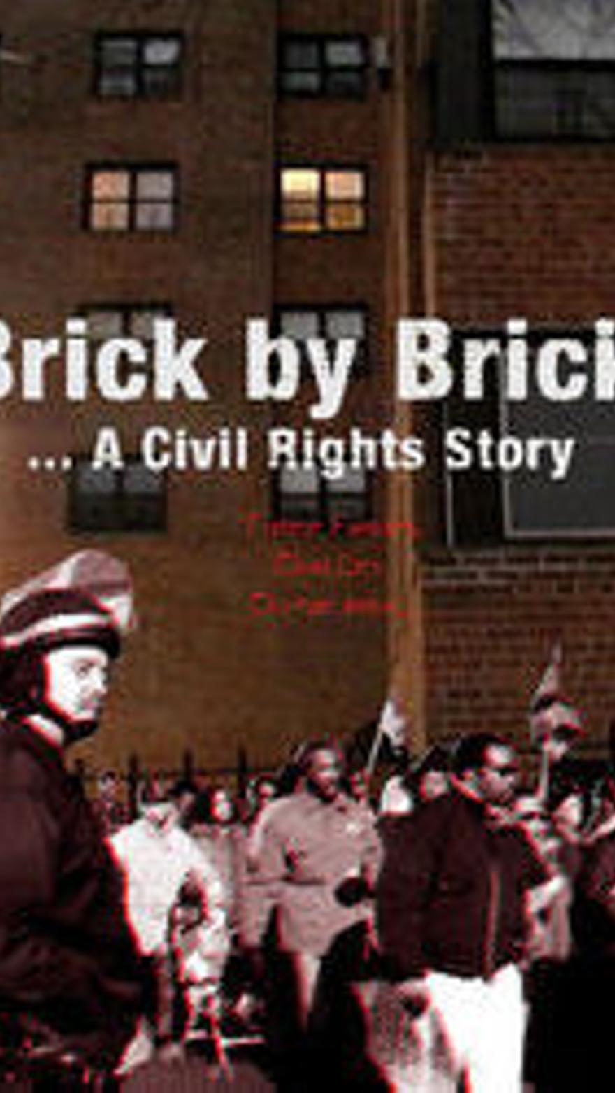 Pedra a pedra: una història dels drets civils