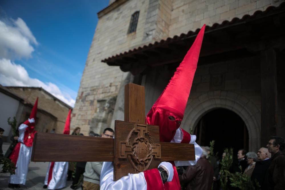 Semana Santa 2018: Procesión de palmas Villaralbo