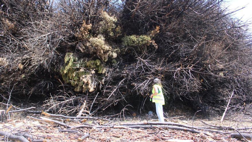 La Culebra, un año después del incendio: &quot;Esto no se olvida, queda para toda la vida&quot;