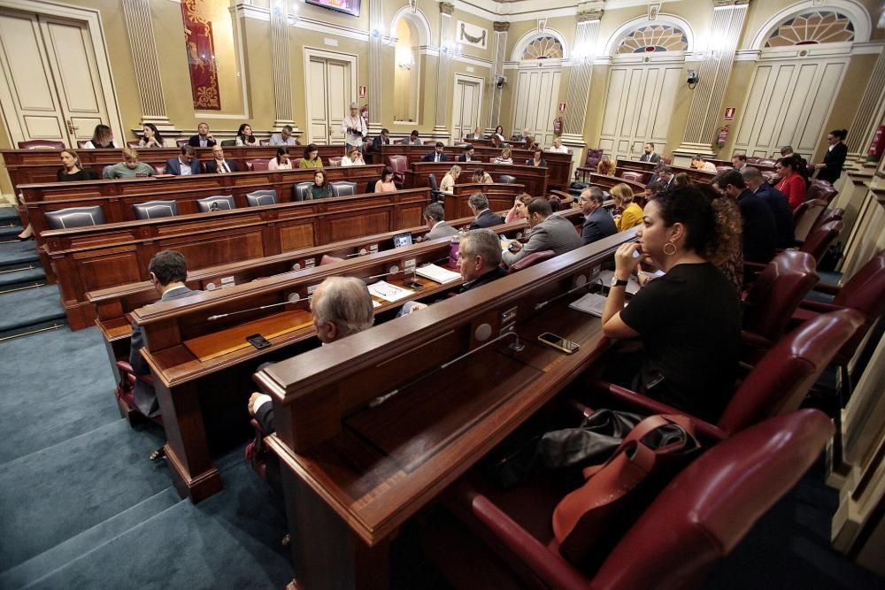 Pleno del Parlamento de Canarias 27-11-19