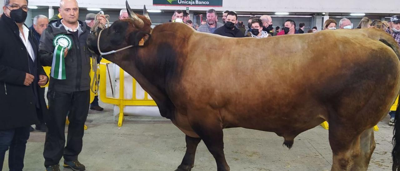 Carlos García, con su toro premiado. | D. M.