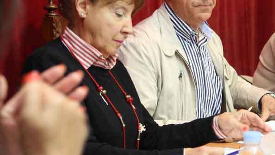 María Ángeles Domínguez y Alejandro Fermoselle durante un pleno.