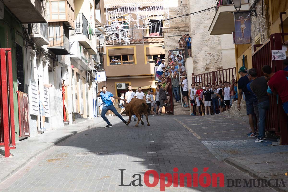 Séptimo encierro de las Fiestas de Moratalla