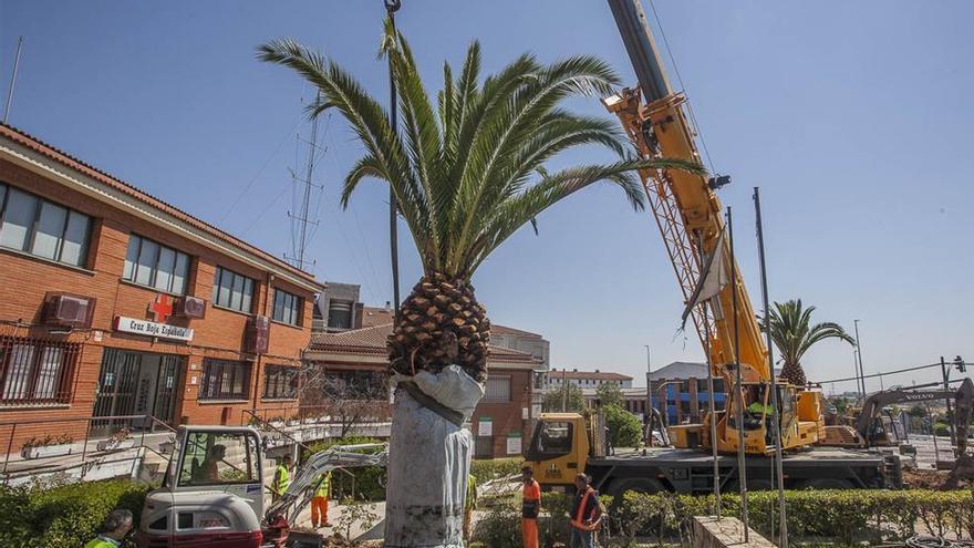 La obra de la glorieta de Héroes de Baler arranca y durará ocho meses