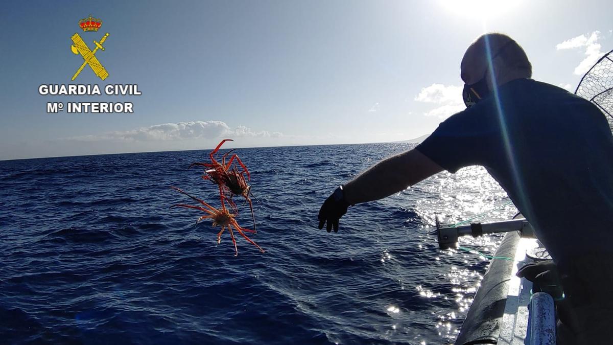 Devolución al mar de cangrejos recuperados de las nadas ilegales al sureste de Lanzarote