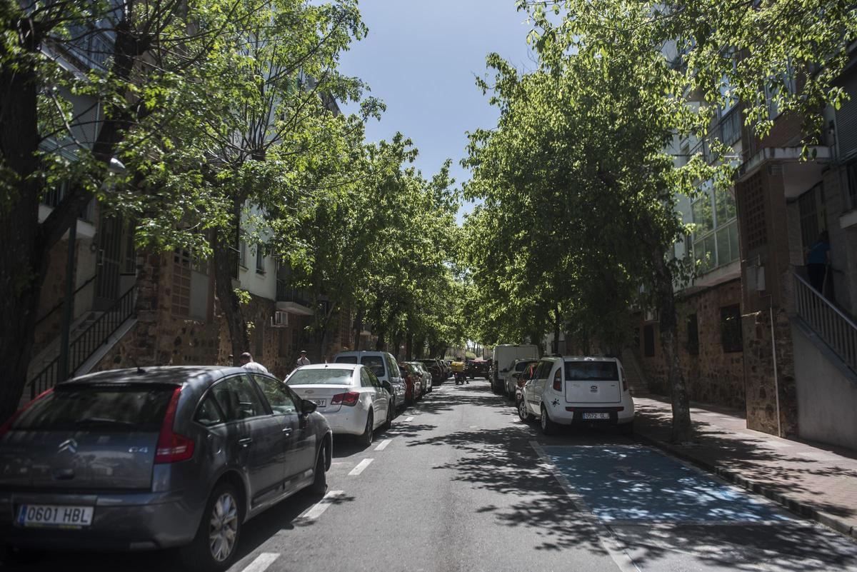 La vegetación cubre las farolas de algunas calles, dificultando la iluminación nocturna.