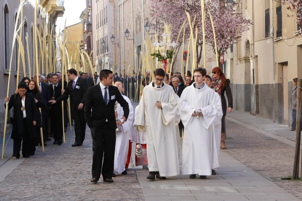 Bendición de ramos y palmas