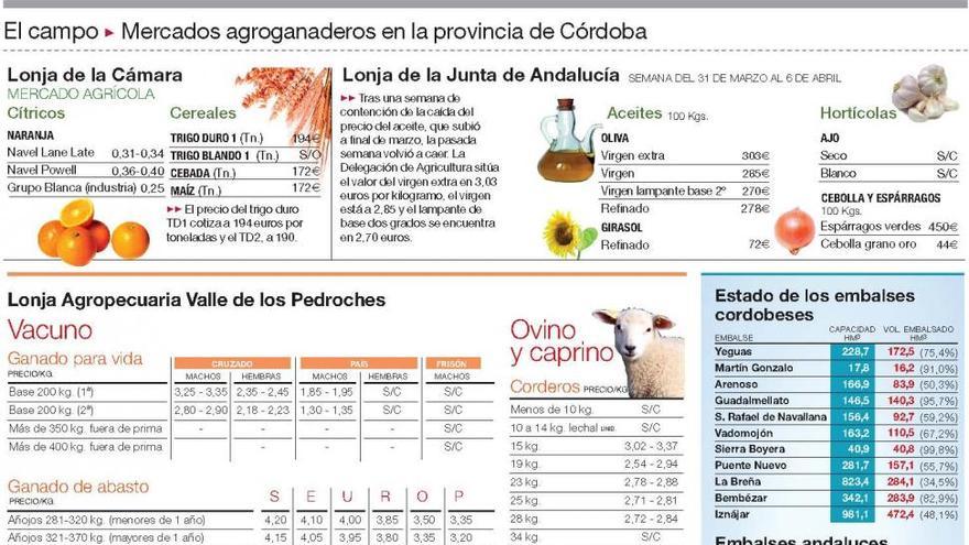 El crecimiento de la hierba reduce costes ganaderos