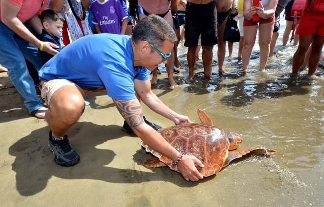 GARZA ÁNADE TORTUGA SUELTA CHARCA MASPALOMAS