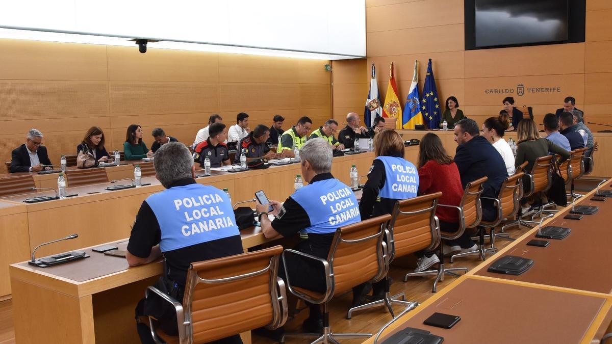 Blanca Pérez, consejera insular de Medio Natural, preside la reunión con políticos, técnicos y policías sobre Anaga.