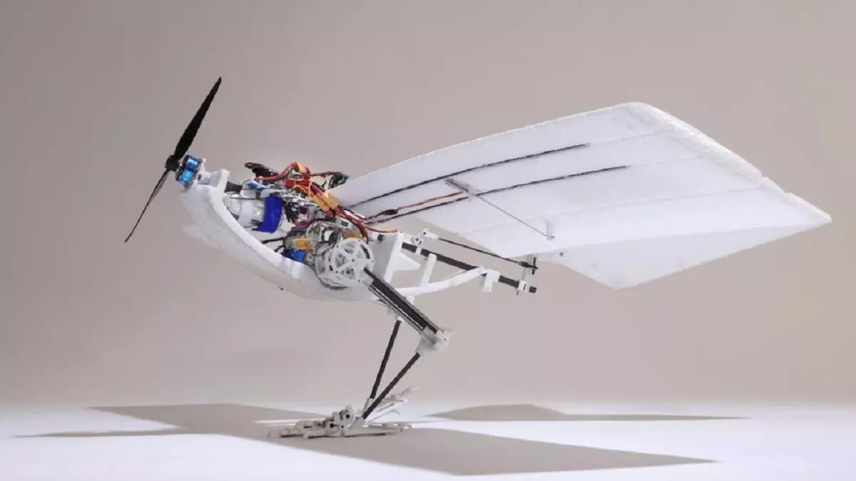 Así es el increíble pájaro-robot que vuela, camina y salta como lo hacen las aves reales