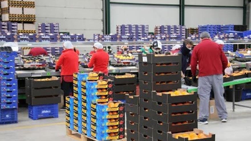 Cooperativas valencianas: el silencioso motor de la economía