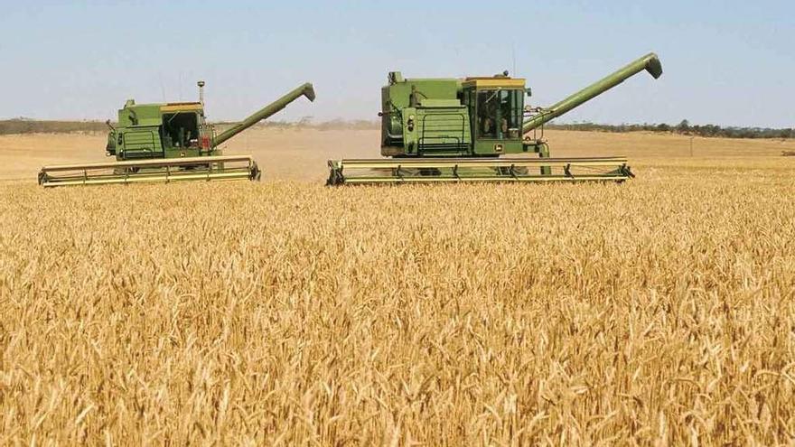 Dos cosechadoras en pleno trabajo. La buena campaña cerealista ha hecho subir la renta agraria.