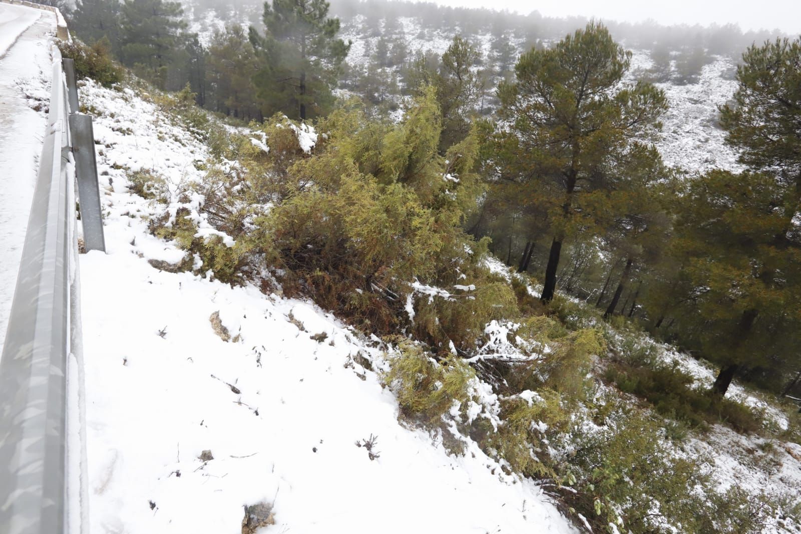 La nieve llega a Enguera