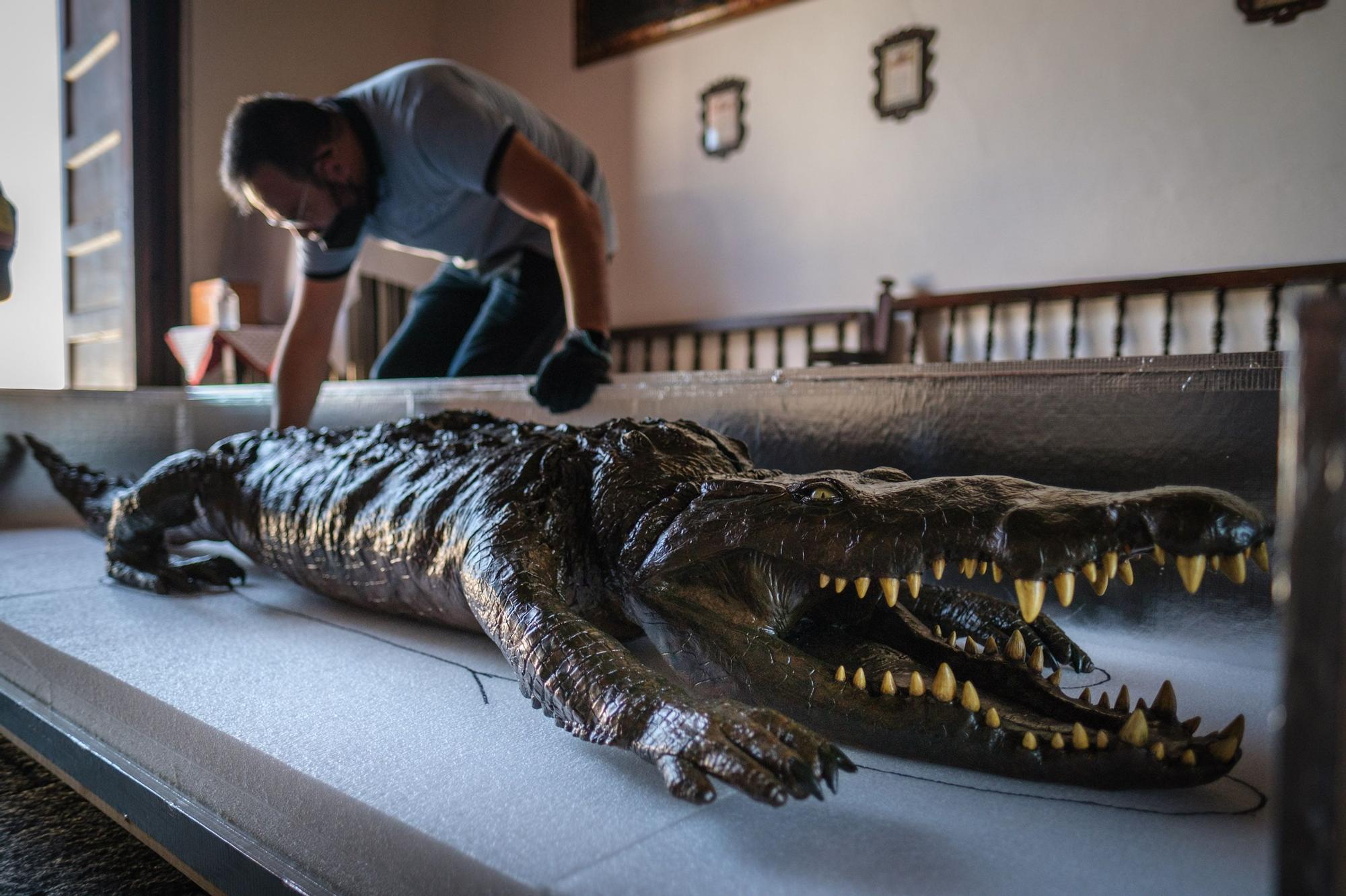 Traslado de la Virgen y el caimán de Las Angustias